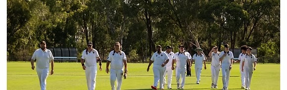Senior Cricket